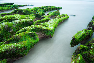 Green Rocky Seashore
