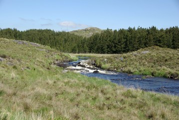 Fototapeta premium Torrent en Irlande