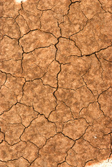 The cracked earth
