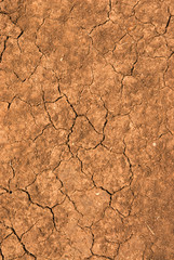The cracked earth