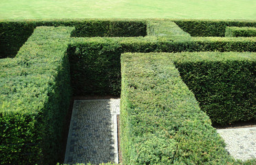 Labyrinth - Irrgarten