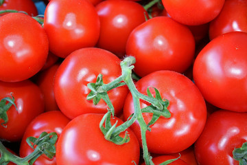 Tomaten