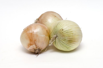 Cebollas matanceras.