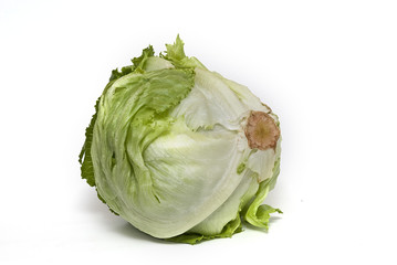 Fototapeta premium Lechuga.