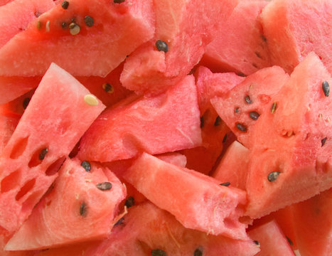 Watermelon slices close up