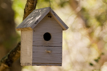 Bird House