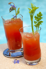 Bloody Mary cocktail