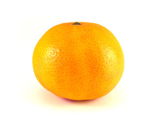 Mandarin orange on white background