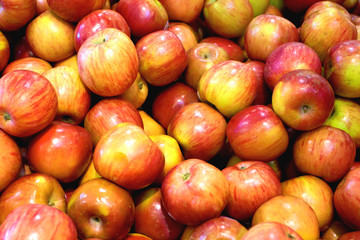 Lots of red apple