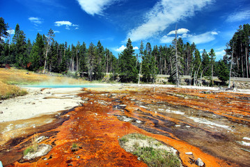 Yellowstone