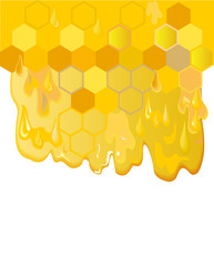 honey background