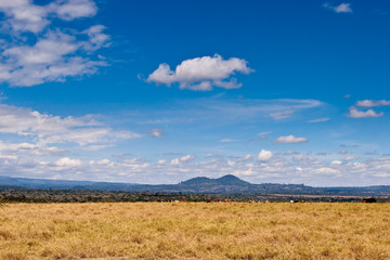 Landscape of farmland and hills