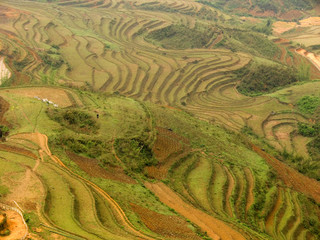 Bergland von Sa Pa,Vietnam