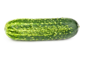 cucumber isolated
