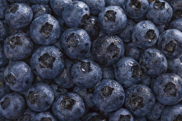 Wet Blueberries Background