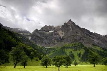 Alpen paradise II
