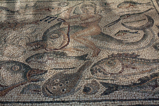 Luni - Mosaico dedicato a Poseidone