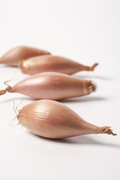Four echalion shallots on white background