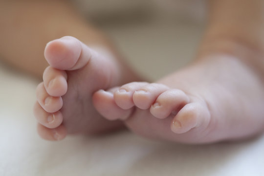 Baby feet of a newborn baby