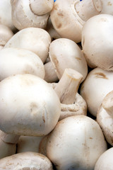 fresh mushrooms