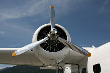 Naklejka na ściany i meble Airplane engine and propeller.