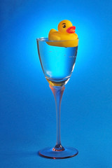 Duck in a glass