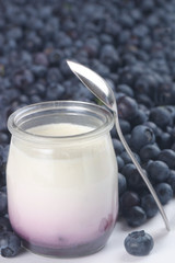 Blueberry Yogurt