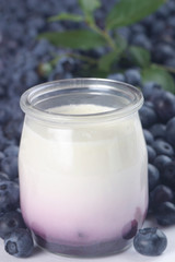 Blueberry Yogurt