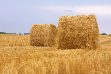 Fototapeta premium Sheaves of hay against a background of the sky