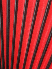 Bellows of accordion, red and black