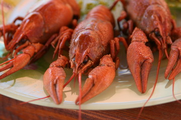 crawfishes