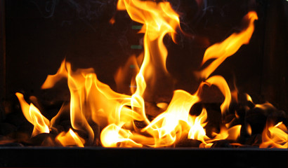 Naklejka premium flamme,abstrakt