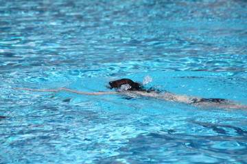 Fototapeta premium Schwimmen