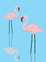 Obraz premium illustration of a couple of pink flamingos in a lake