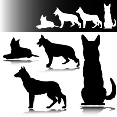 german shepherd vector silhouettes