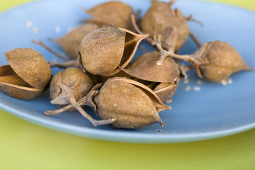 Piatto con frutta secca