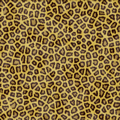 sfondo leopardo