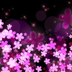 cherry blossoms　background