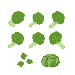 broccoli  and  cabbage