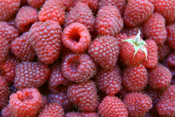 sweet red raspberries texture, Rubus idaeus