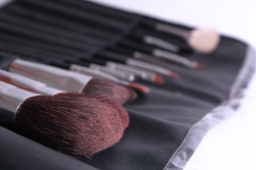 cosmetic brushes
