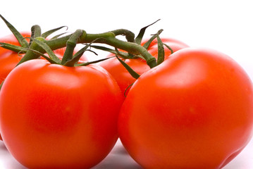Fresh tomatoes. Macro studio isolated on white.