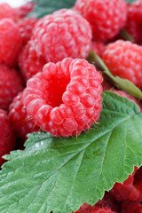 raspberries