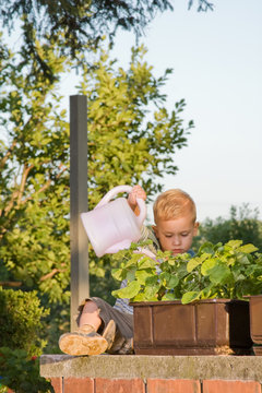 Boy Watering Flowers