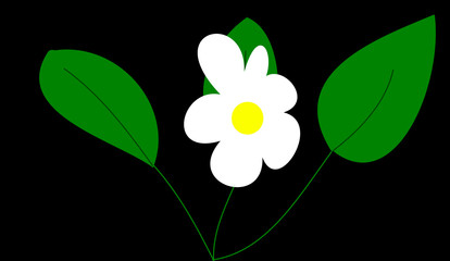 das gänseblümchen © gabrielejasmin