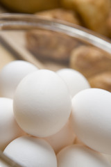 タマゴ