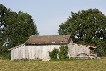 Obraz premium scheune