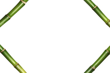 Fototapeta premium Lucky bamboo stems frame