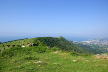 Fototapeta premium montagne près de la mer