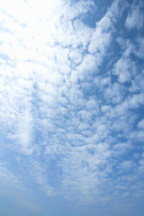 Obraz premium 青空